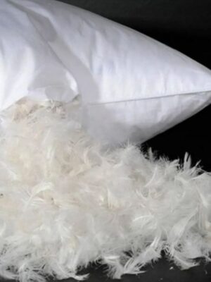 KUŞ TÜYÜ YASTIK 850GR